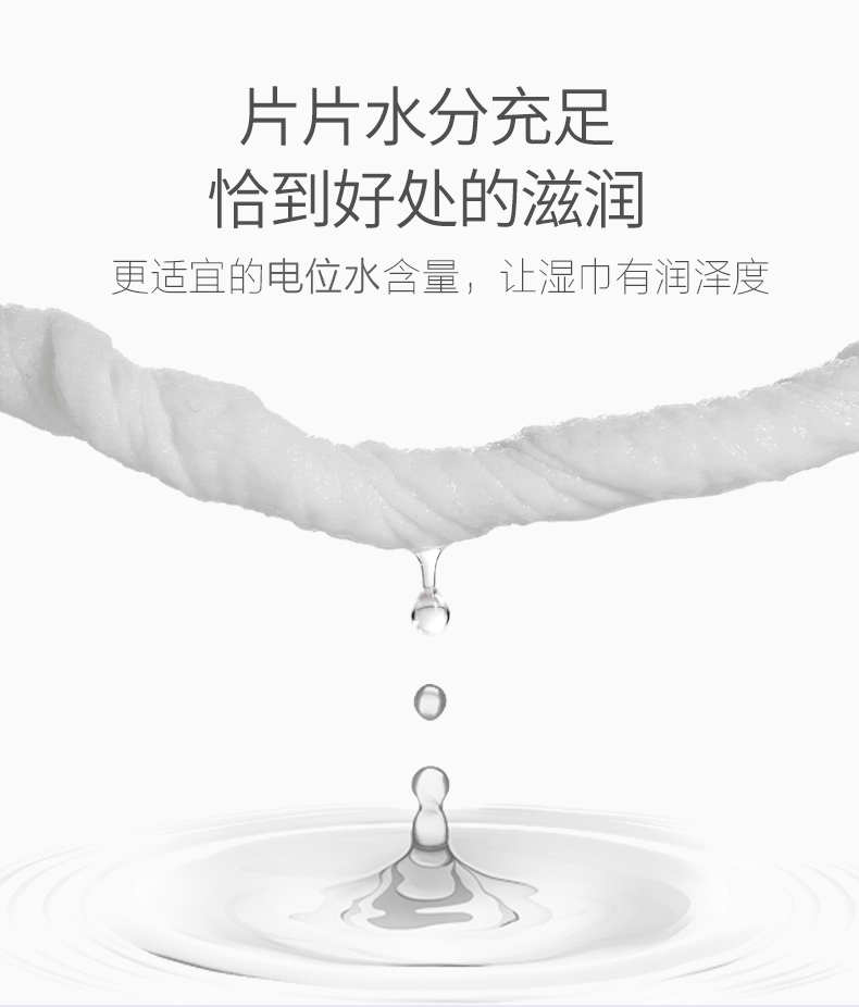 绿尔洁卫生湿巾9